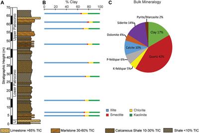 Geochemical factors associated with deposition of lower Aptian organic-rich sediments during OAE1a in the Basque-Cantabrian Basin, northern Spain